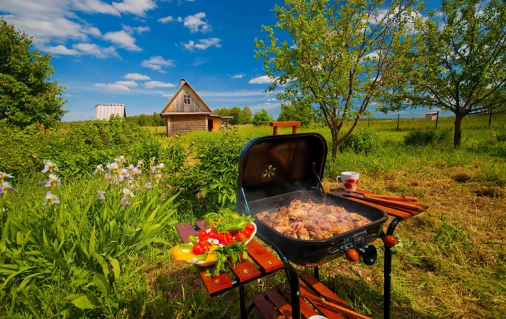 Дачный сезон на Урале официально начался Дачный сезон на Урале официально начался